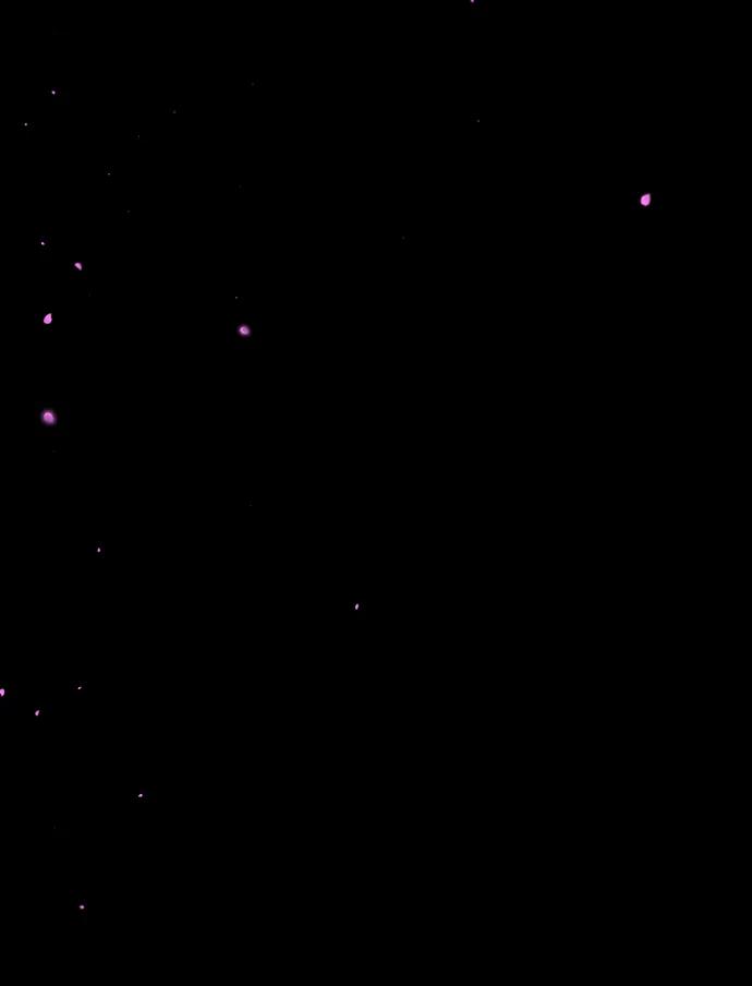 《妙龄皇子》[第110话] 樱花凋零的夜晚 第138页