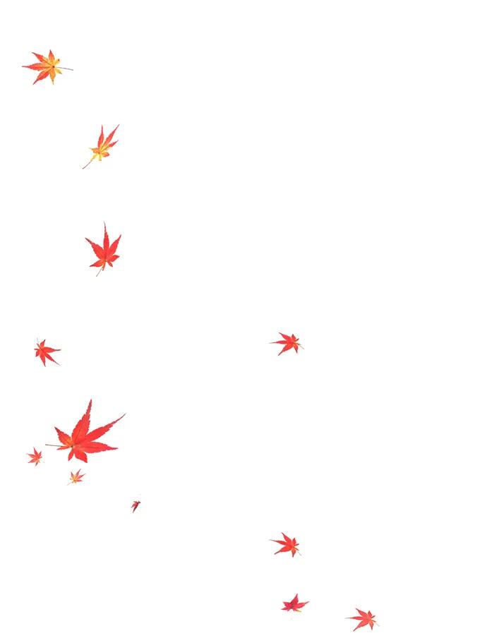 《妙龄皇子》[第81话] 两个寝殿，同一个秘密 第66页