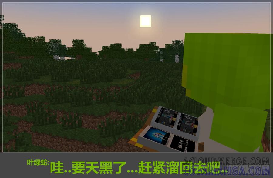 《我的世界：晨曦传记番外》2017庆生篇 第19页