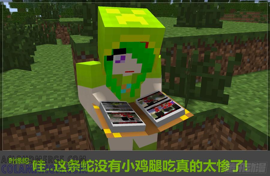 《我的世界：晨曦传记番外》2017庆生篇 第13页