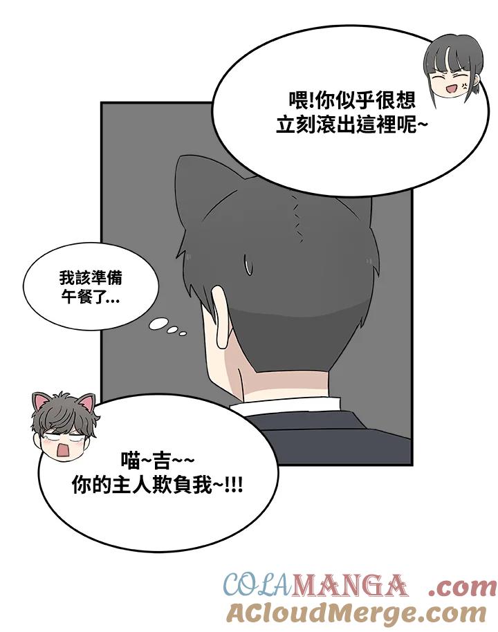 《喵星人管家》第8话 喵路(下) 第9页