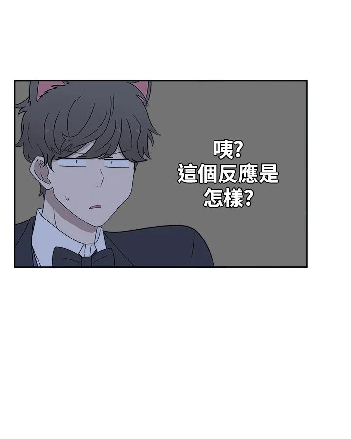 《喵星人管家》第8话 喵路(下) 第18页