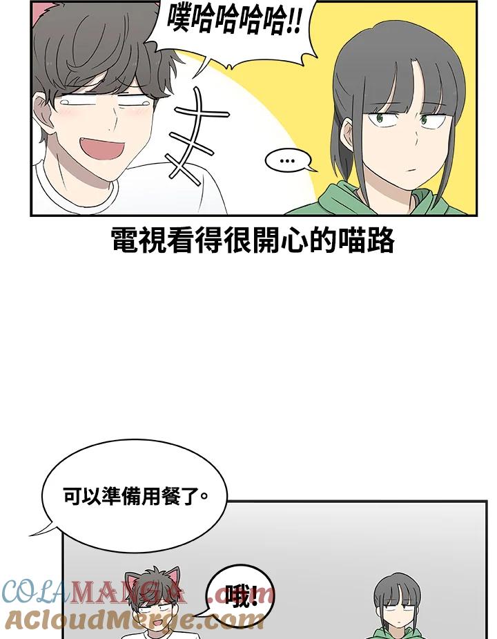 《喵星人管家》第8话 喵路(下) 第31页