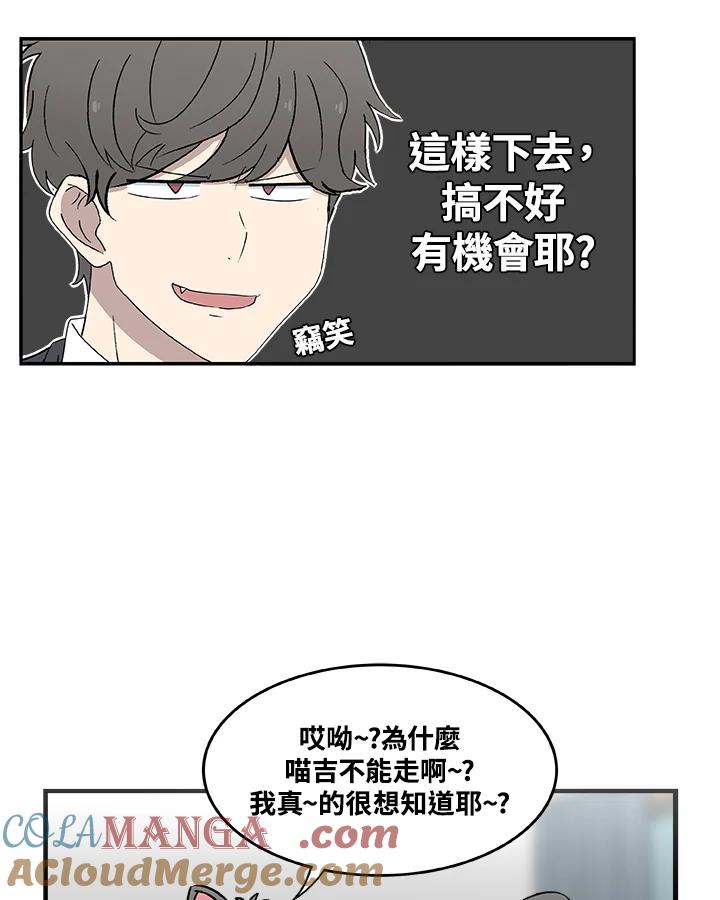 《喵星人管家》第8话 喵路(下) 第19页