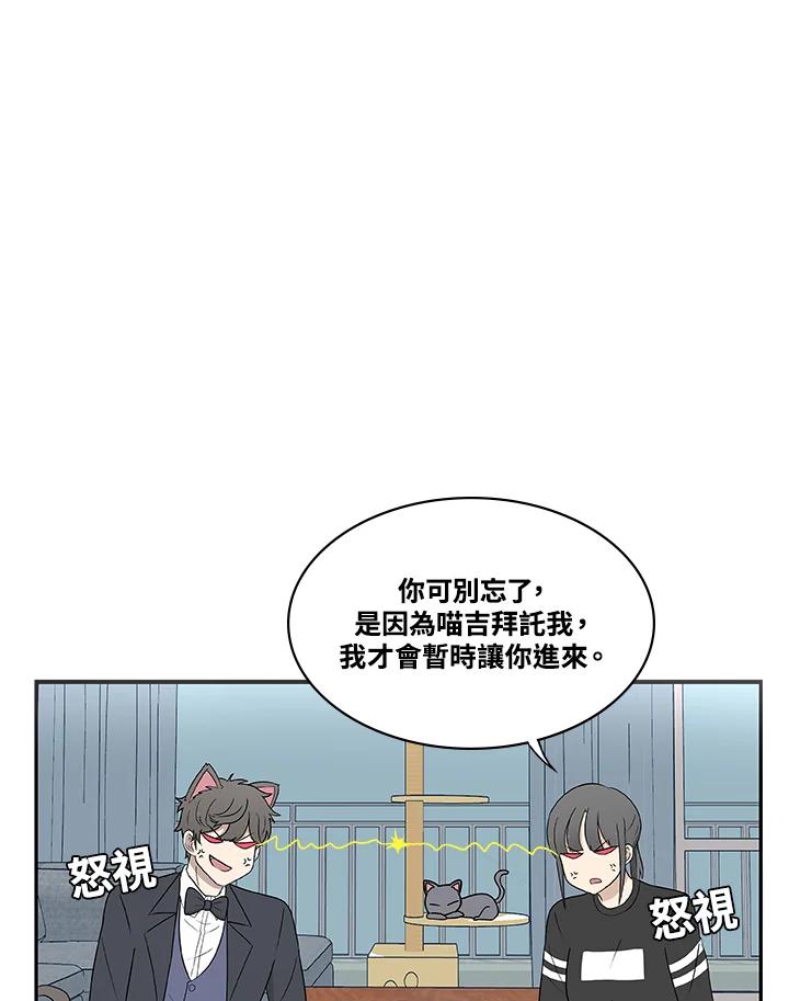 《喵星人管家》第8话 喵路(下) 第6页