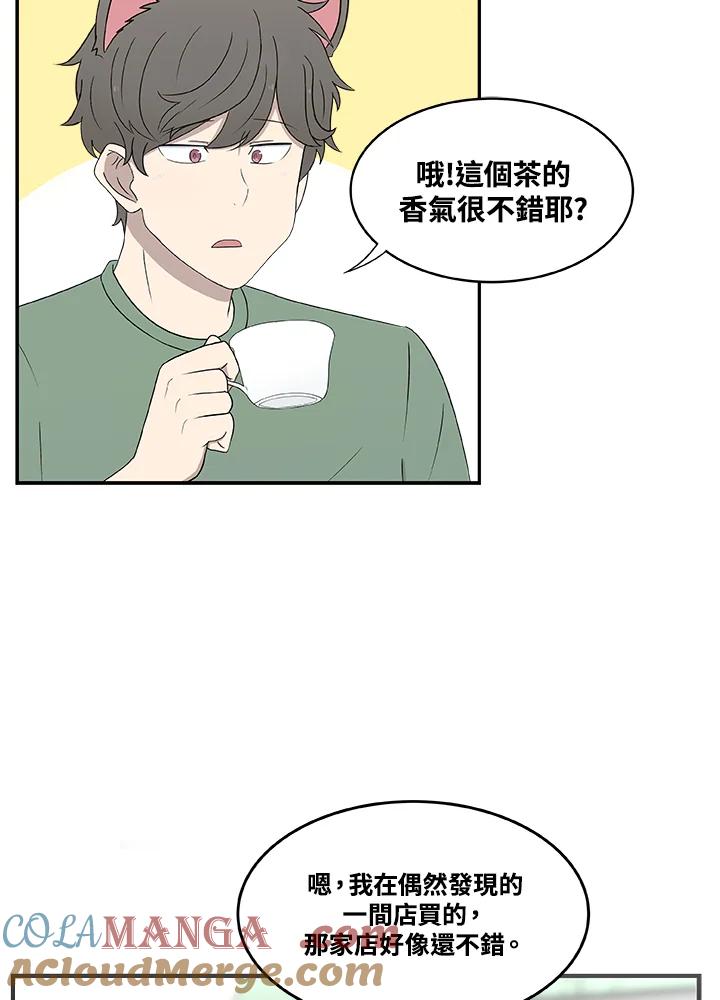 《喵星人管家》第9话 职业 第3页