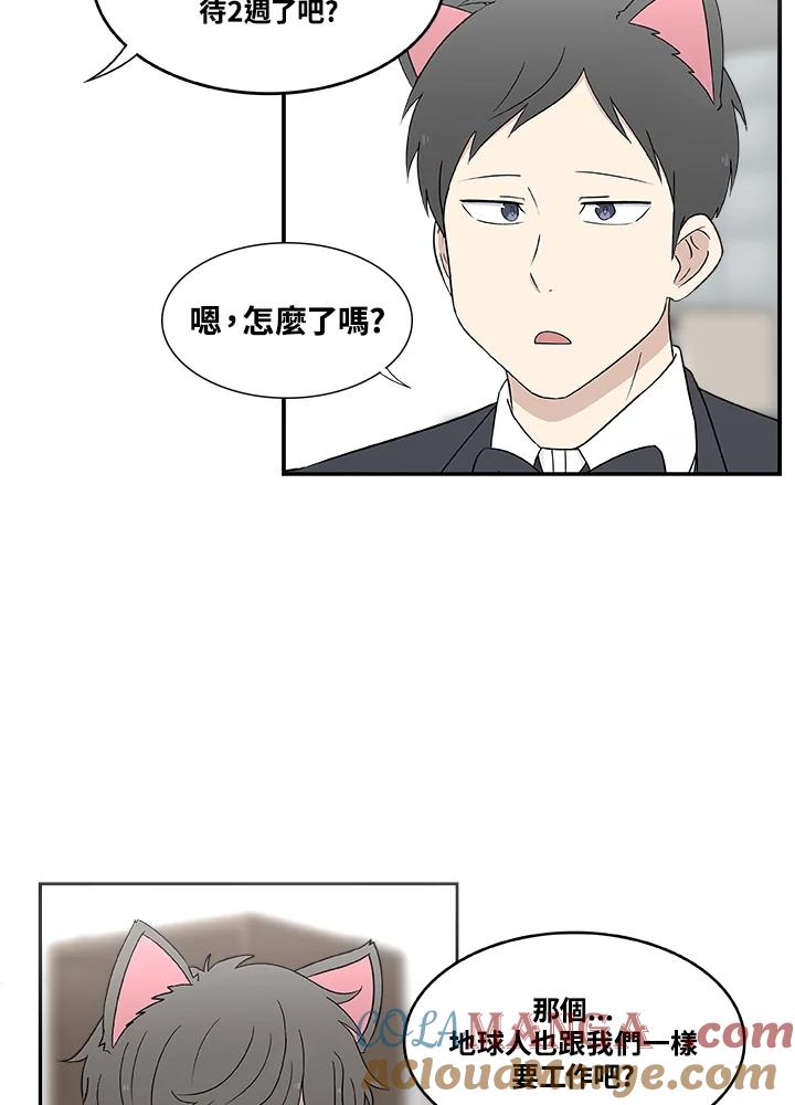 《喵星人管家》第9话 职业 第5页