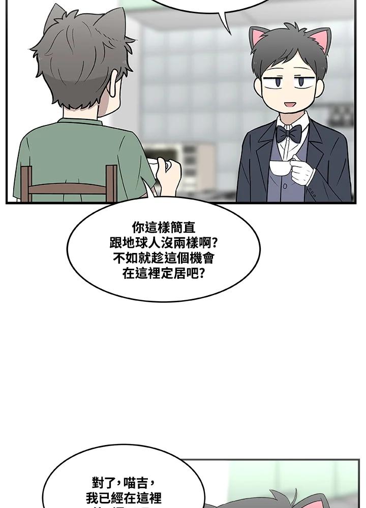 《喵星人管家》第9话 职业 第4页