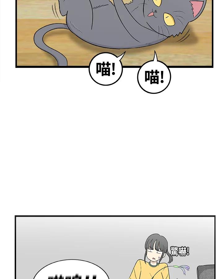 《喵星人管家》第10话 玩具 第12页