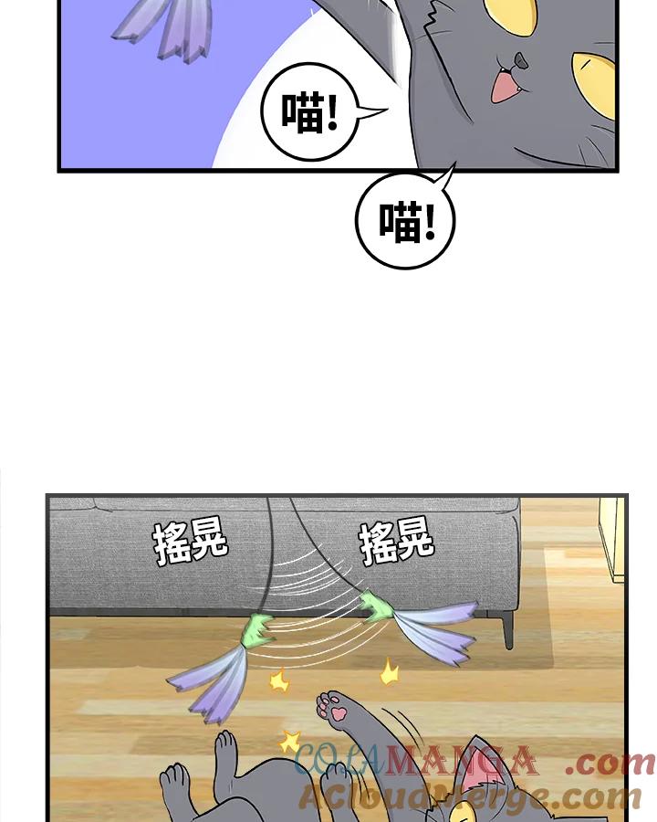 《喵星人管家》第10话 玩具 第11页