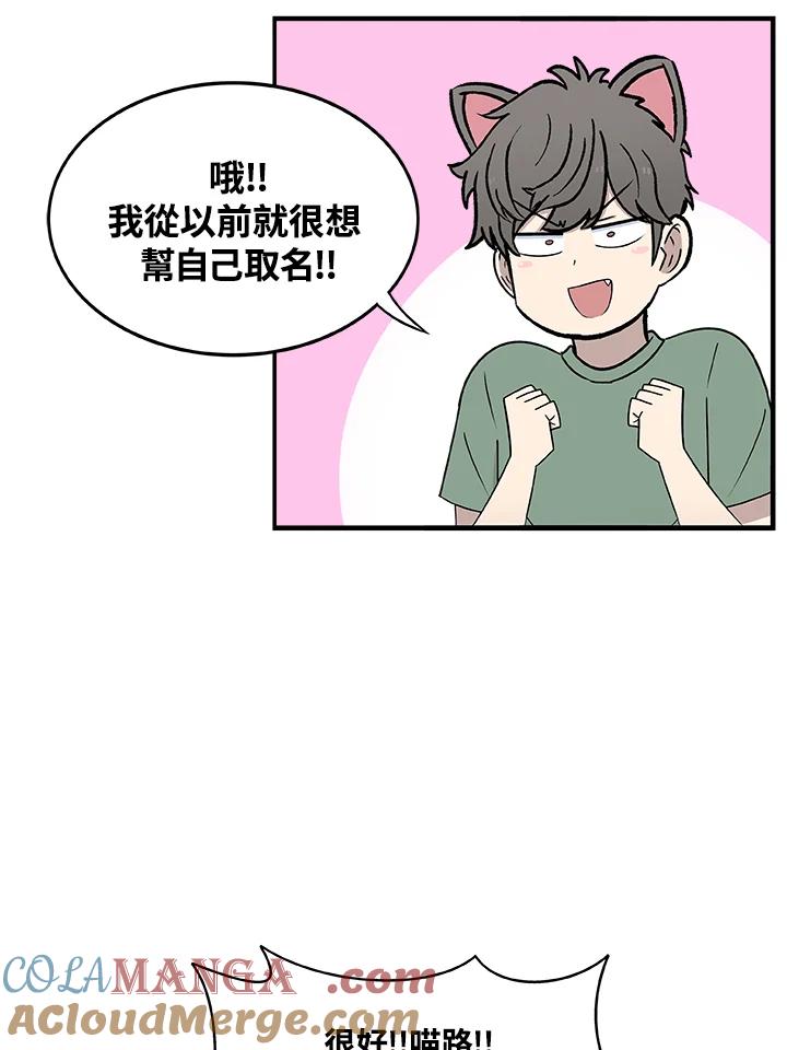 《喵星人管家》第14话 对策 第22页