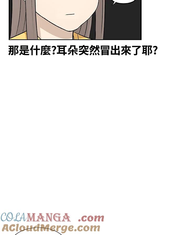 《喵星人管家》第16话 解决 第15页