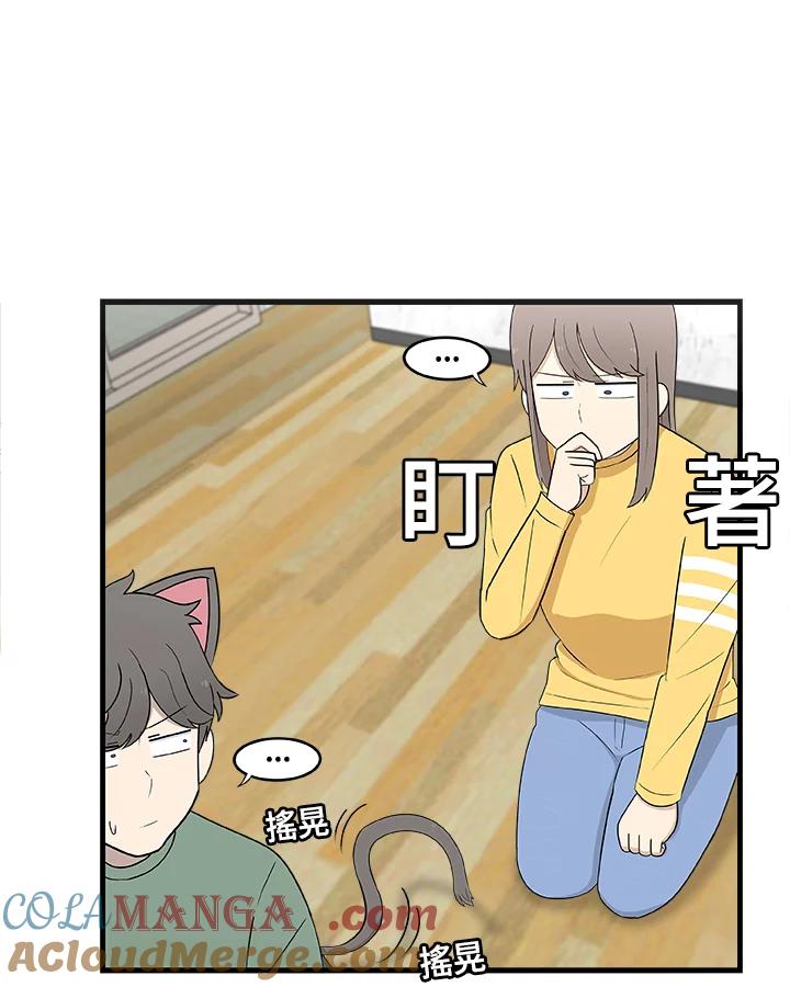 《喵星人管家》第16话 解决 第17页