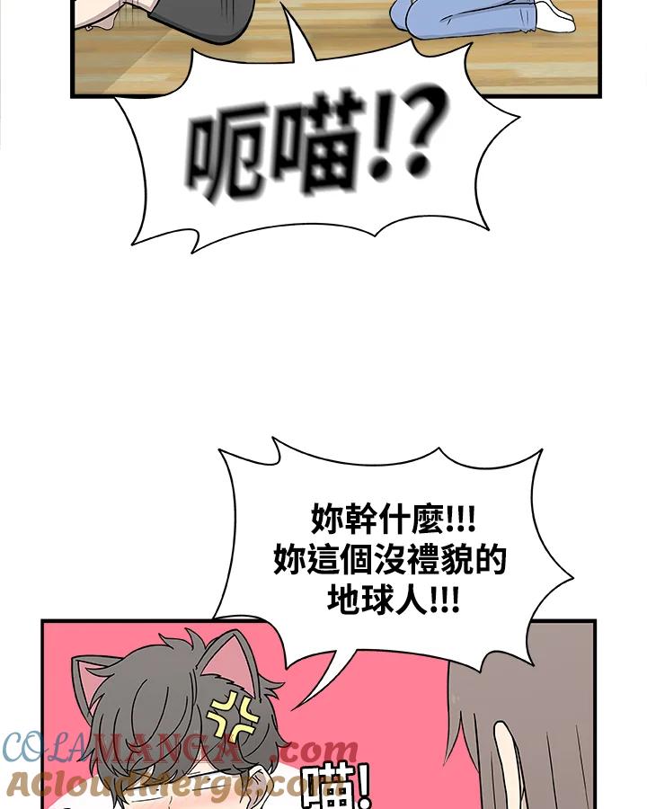 《喵星人管家》第16话 解决 第19页
