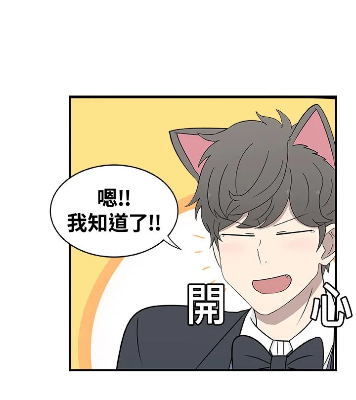 《喵星人管家》第17话 受伤 第50页