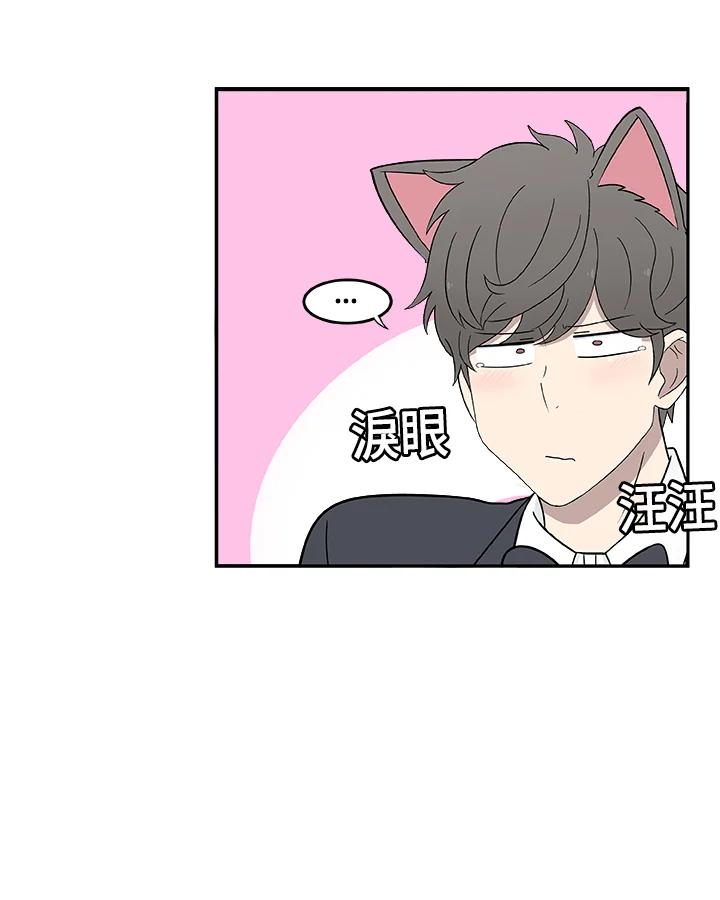 《喵星人管家》第17话 受伤 第48页