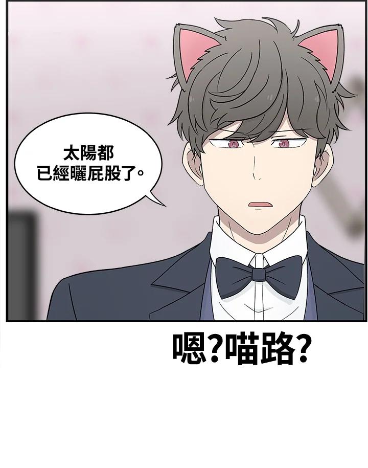 《喵星人管家》第17话 受伤 第6页