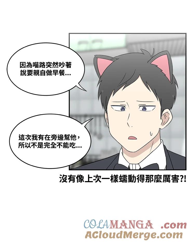 《喵星人管家》第17话 受伤 第13页