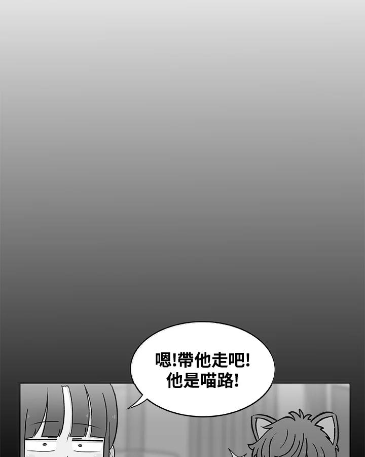 《喵星人管家》第17话 受伤 第35页