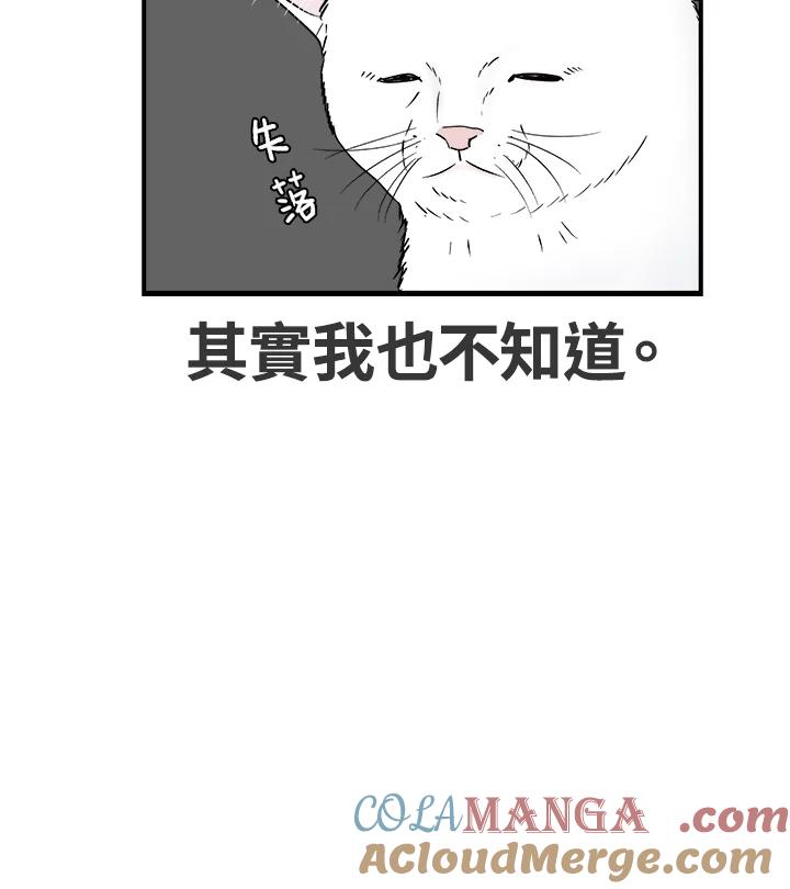 《喵星人管家》序章 第7页