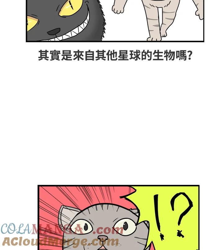 《喵星人管家》序章 第5页