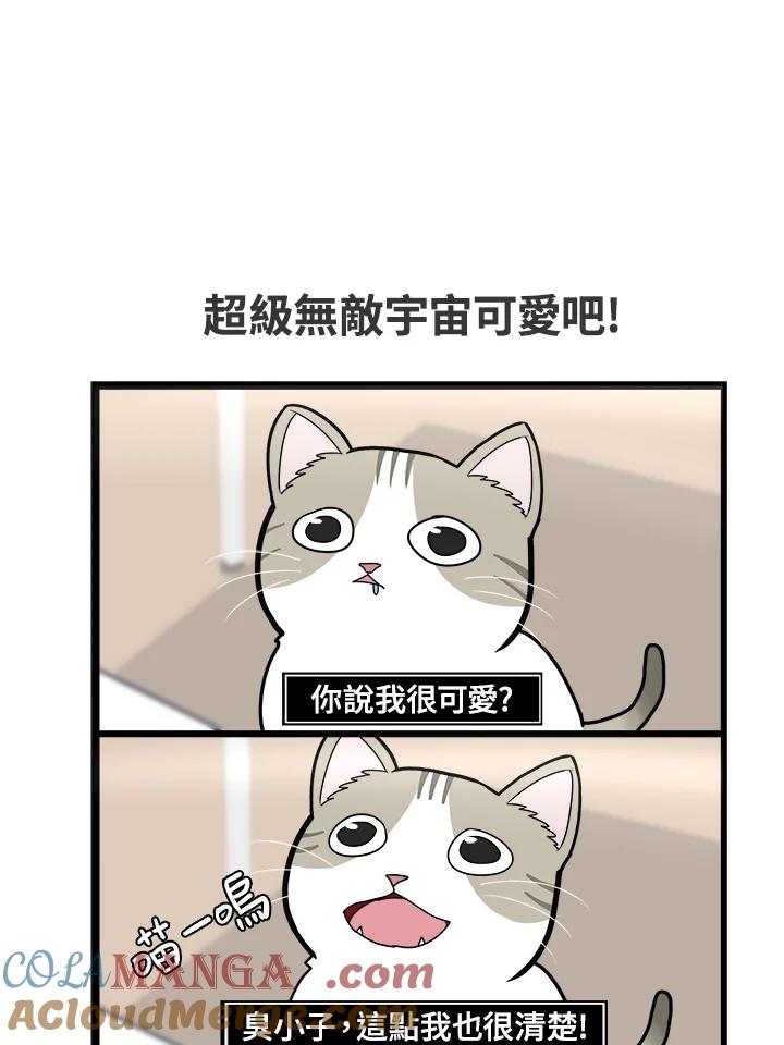 《喵星人管家》序章 第2页