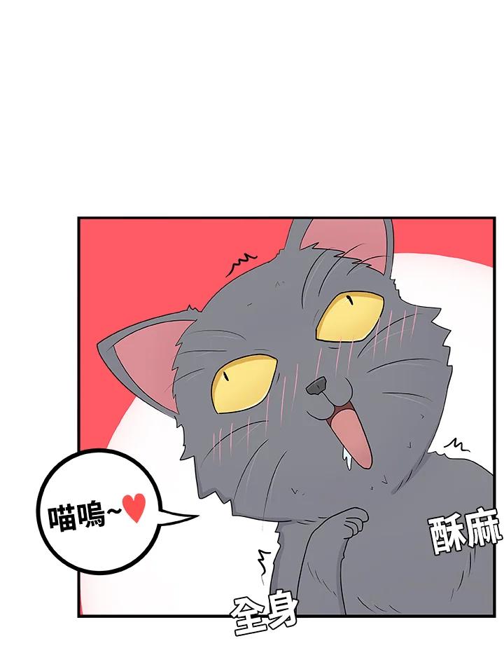 《喵星人管家》第18话 猫薄荷 第12页