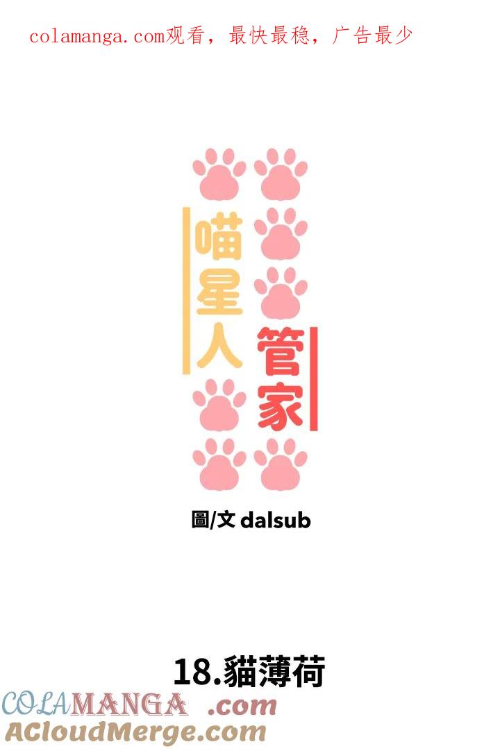 《喵星人管家》第18话 猫薄荷 第1页