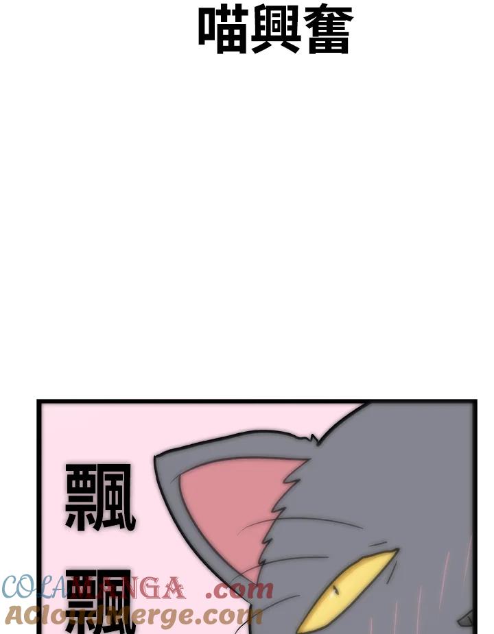 《喵星人管家》第18话 猫薄荷 第13页