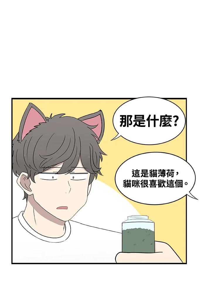 《喵星人管家》第18话 猫薄荷 第18页