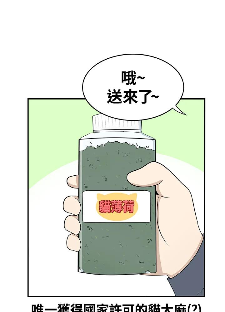 《喵星人管家》第18话 猫薄荷 第4页