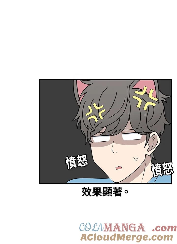 《喵星人管家》第19话 愿望实现了 第8页