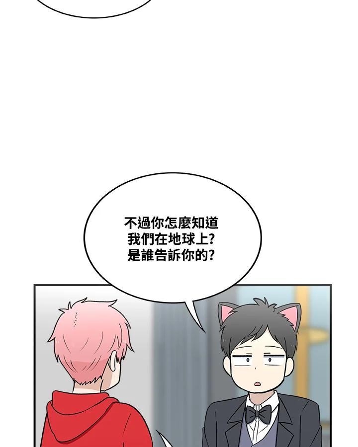《喵星人管家》第20话 同学 第11页