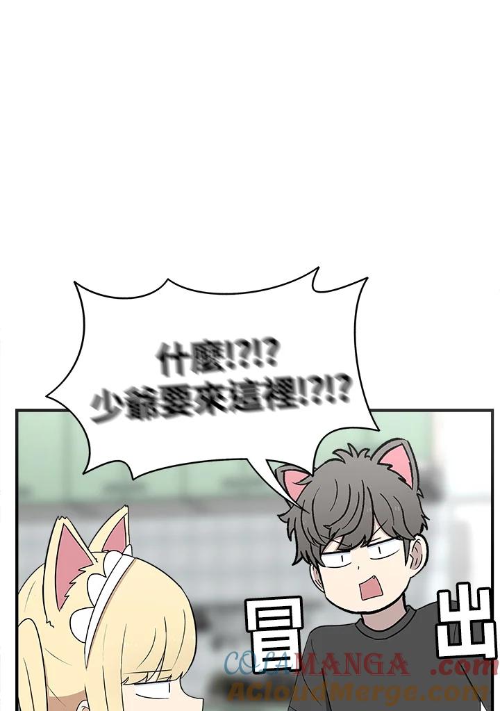 《喵星人管家》第21话 女仆 第37页