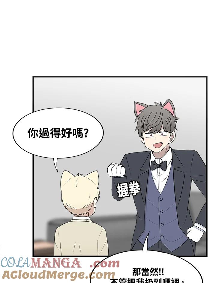《喵星人管家》第23话 王子殿下 第7页