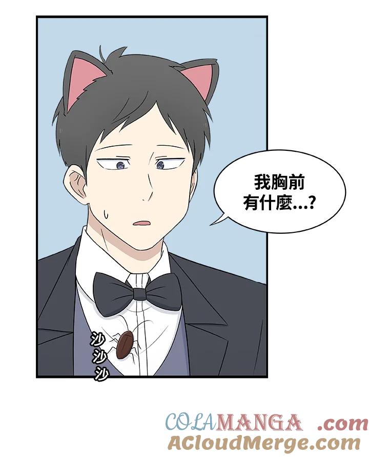《喵星人管家》第27话 蟑螂 第35页