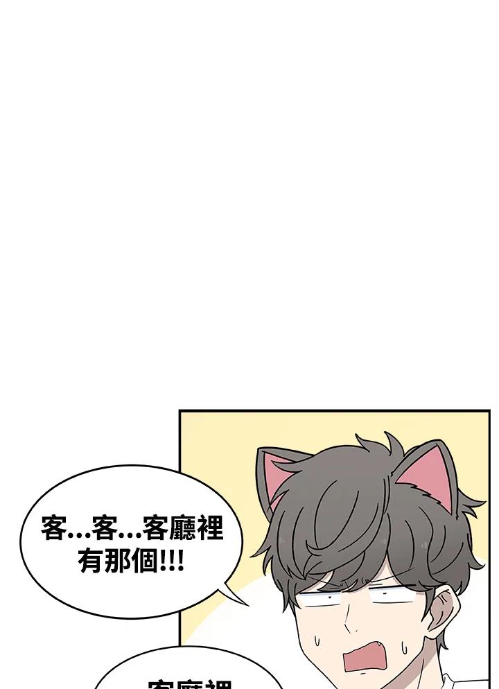 《喵星人管家》第27话 蟑螂 第10页