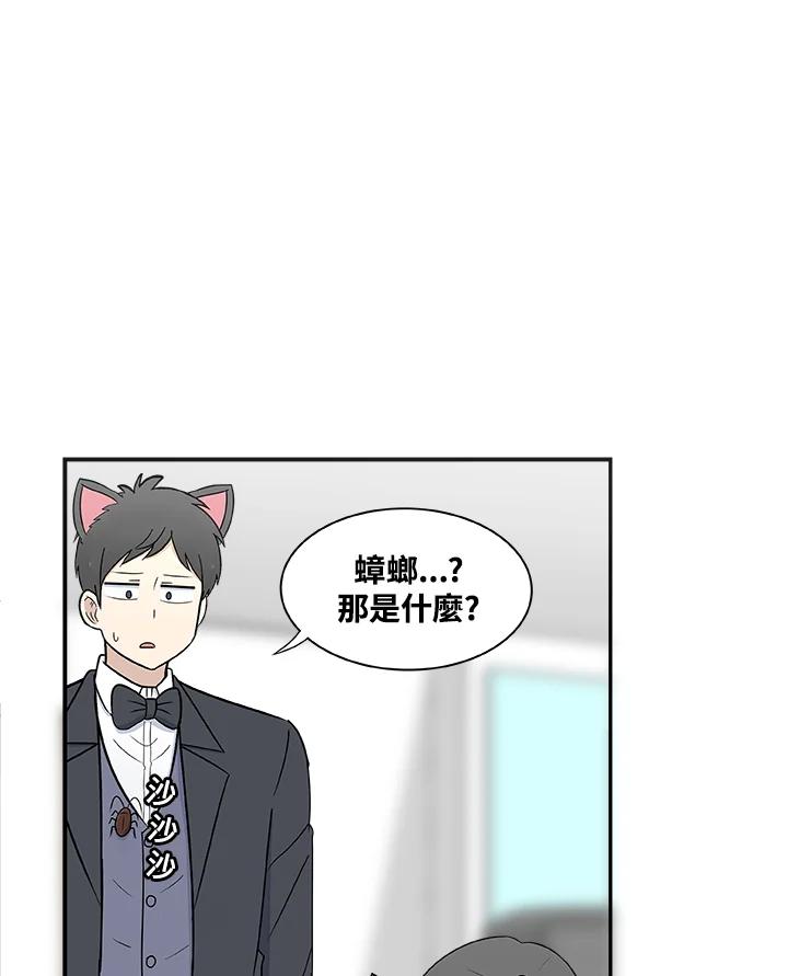 《喵星人管家》第27话 蟑螂 第32页
