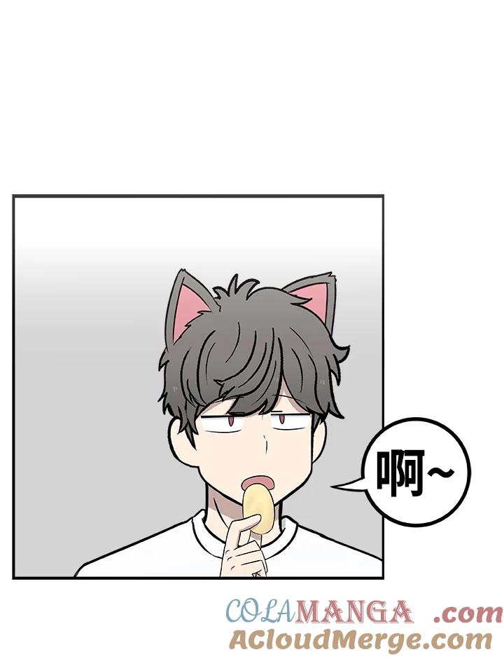 《喵星人管家》第27话 蟑螂 第3页