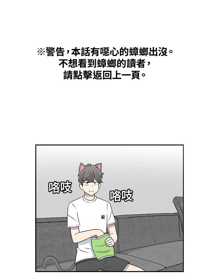 《喵星人管家》第27话 蟑螂 第2页