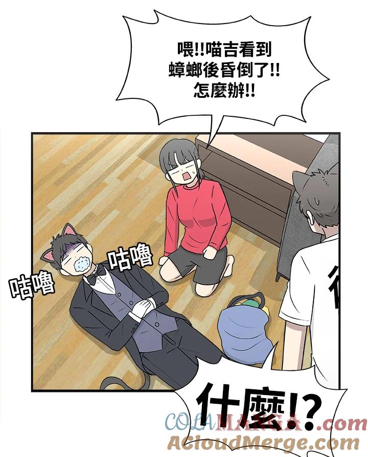 《喵星人管家》第27话 蟑螂 第39页