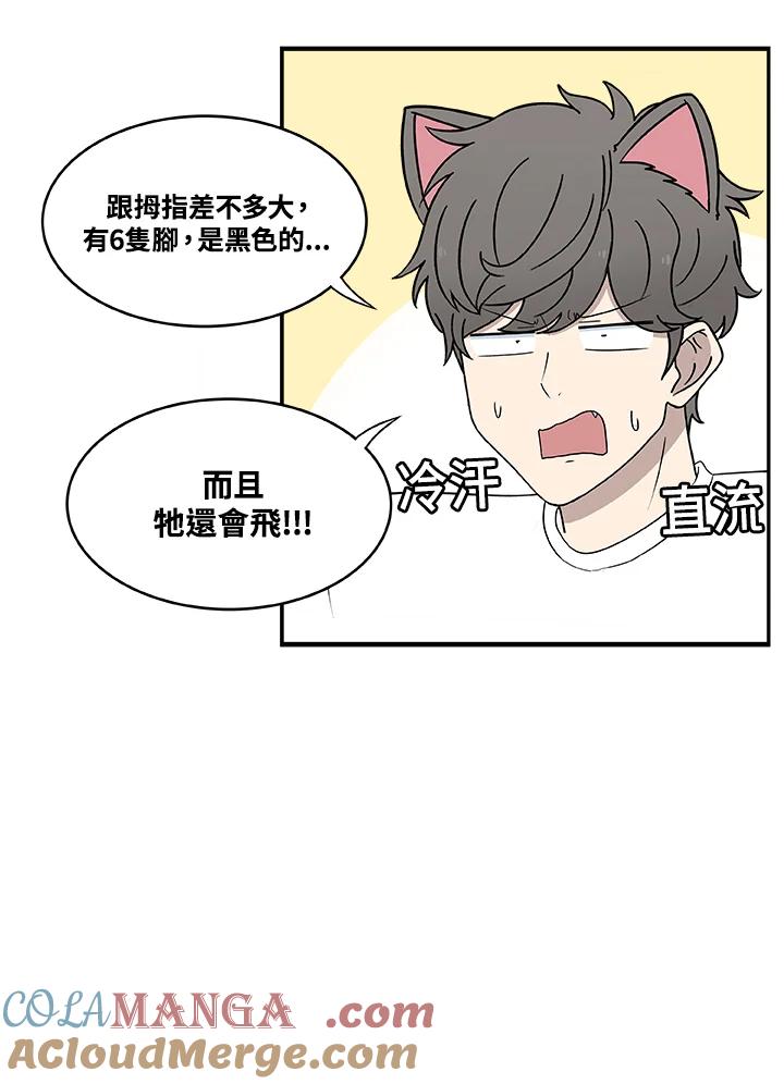 《喵星人管家》第27话 蟑螂 第15页