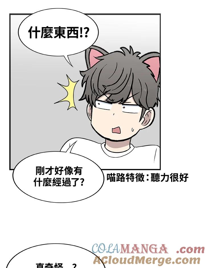 《喵星人管家》第27话 蟑螂 第5页