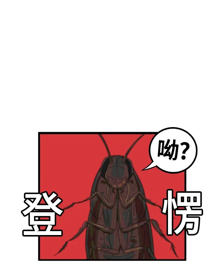 《喵星人管家》第27话 蟑螂 第36页