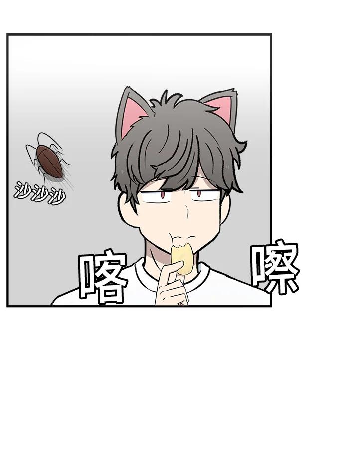 《喵星人管家》第27话 蟑螂 第4页