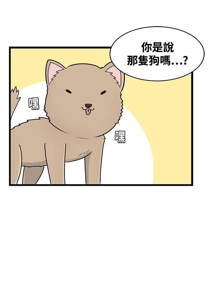 《喵星人管家》第1话 初次见面 第14页