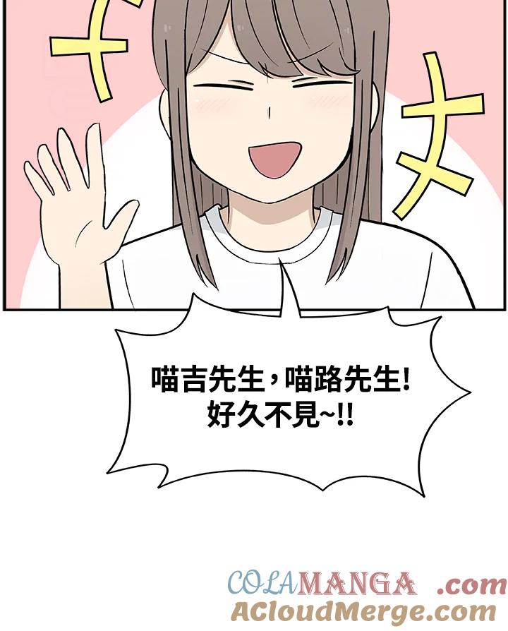 《喵星人管家》第28话 吉娃娃 第15页