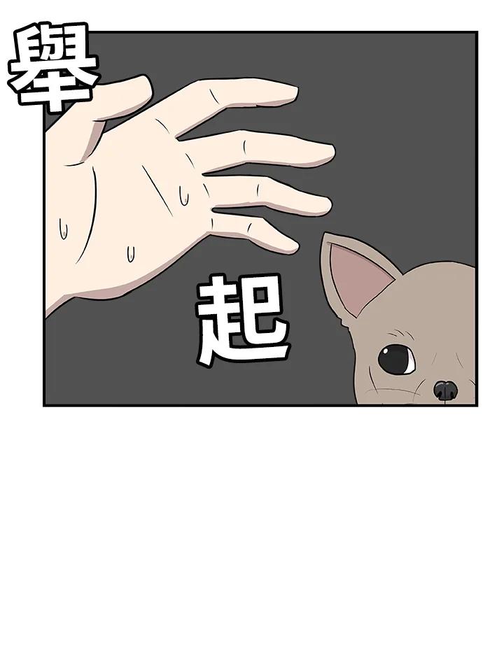 《喵星人管家》第28话 吉娃娃 第34页