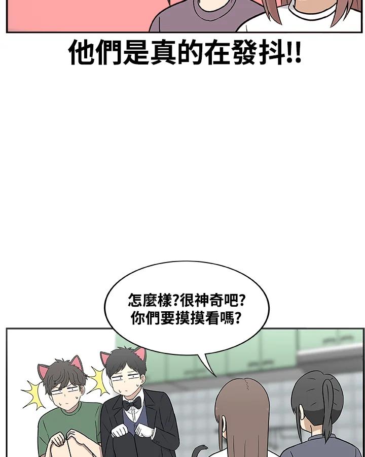 《喵星人管家》第28话 吉娃娃 第26页