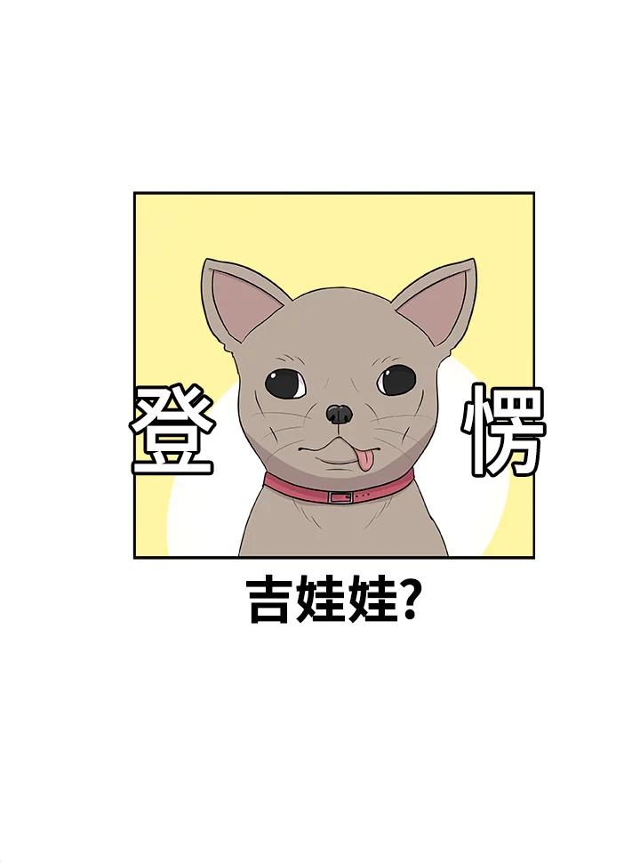 《喵星人管家》第28话 吉娃娃 第4页